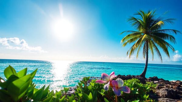 Découvrez le coin de paradis parfait dans le pacifique