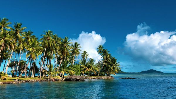 Découvrez le coin de paradis parfait dans le pacifique