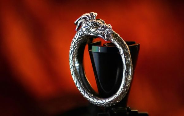 Découvrez les bagues dragon pour homme qui révèlent votre puissance