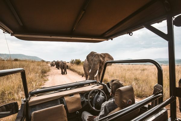 Découvrez les meilleures destinations en Afrique à explorer