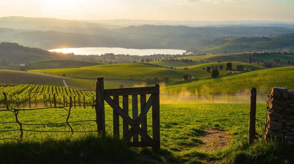 Les plaisirs cachés de la Champagne-Ardenne à explorer