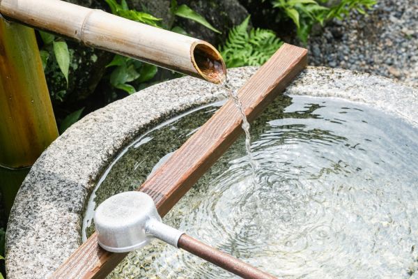 Récupération de l’eau de pluie : astuces pour un usage optimal