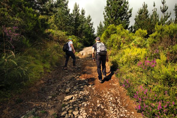 Top 10 expériences inoubliables en randonnée dans la nature