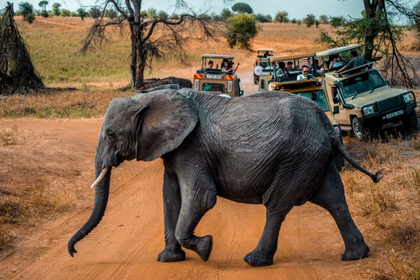 Top 10 lieux fascinants à visiter en Afrique cette année