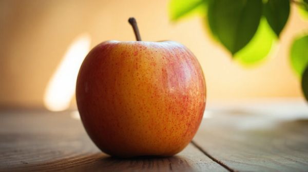 Top conseils nutritionnels d'une diététicienne à Reims